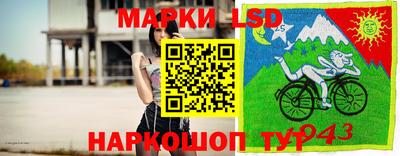 ГАЛЛЮЦИНОГЕННЫЕ ГРИБЫ Партизанск