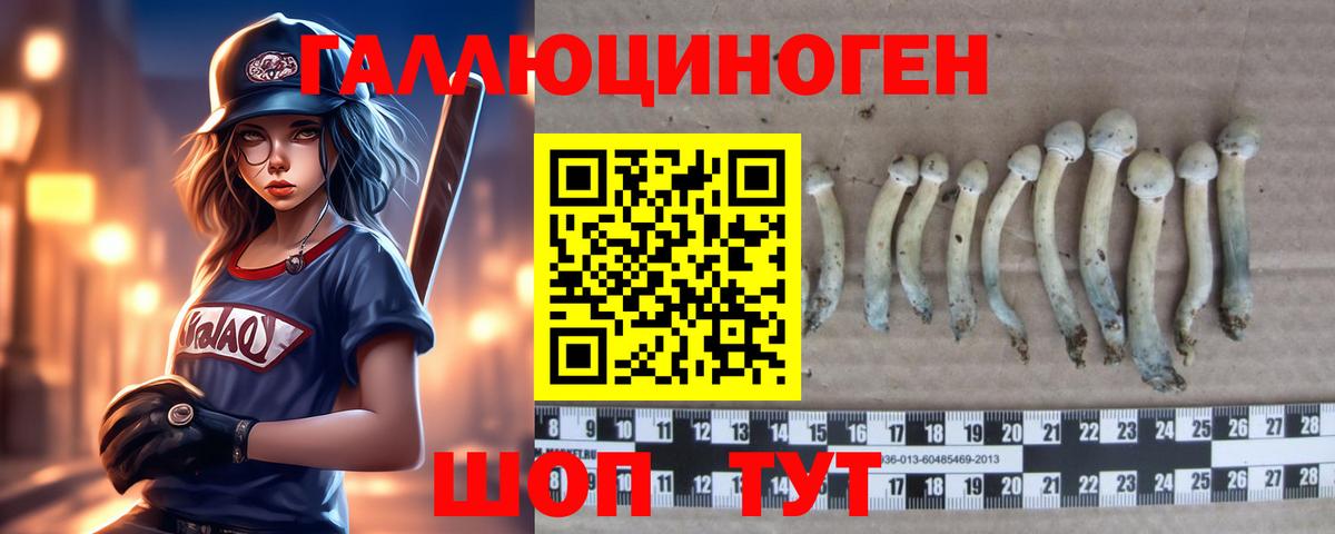 купить закладку  Вход с VPN  Сорочинск  Псилоцибиновые грибы Magic Shrooms 